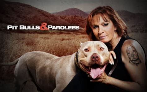 pitbulls and parolees melissa died